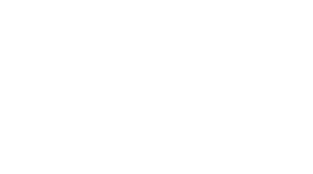 Rapid Reach Logo